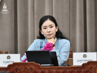 УИХ-ын гишүүн С.Цэнгүүн гадаад томилолтын санхүүжилт нь тусдаа гэдгээ мэдэгдэв