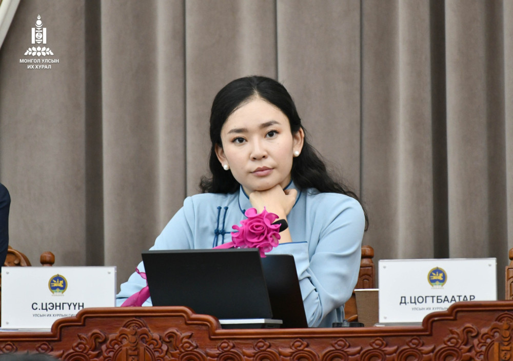 УИХ-ын гишүүн С.Цэнгүүн гадаад томилолтын санхүүжилт нь тусдаа гэдгээ мэдэгдэв