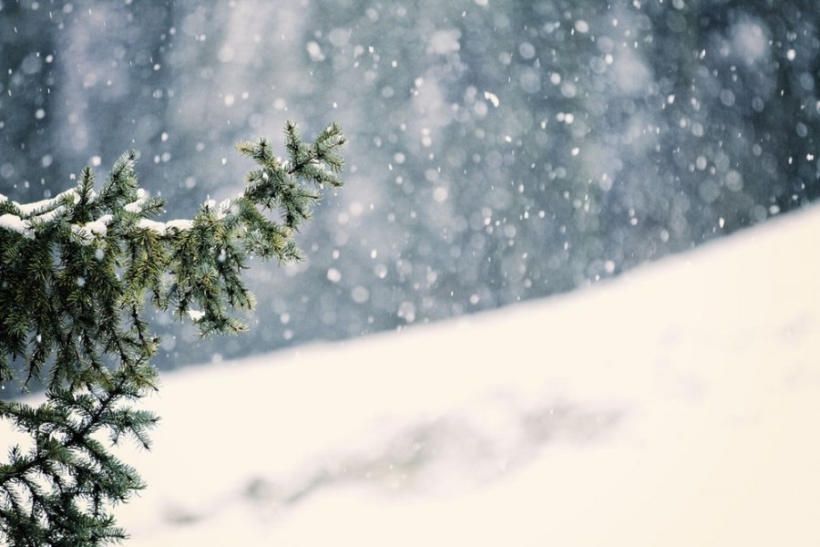 Өнөөдрөөс цас орж, цасан шуурга шуурахыг малчдад анхааруулж байна