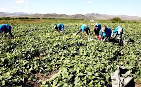 Тариаланчдын зээлийн эргэн төлөлтийн хугацааг зургаа хүртэл сараар хойшлууллаа