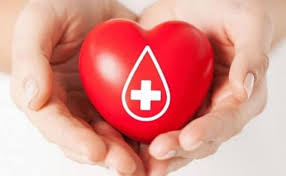 Элэг, бөөр шилжүүлэн суулгуулах шаардлагатай 1000 гаруй иргэн донорын хүлээх жагсаалтад байна гэв