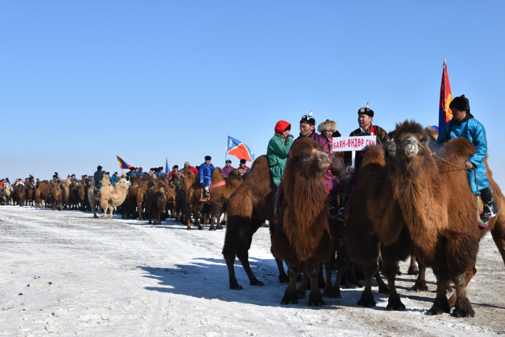 Тэмээчдийн баяр энэ сарын 23-25-нд Дундговь аймагт болно