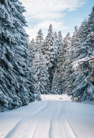 Энэ сарын 21-ний өдөр хүртэл ихэнх нутгаар хүйтний эрч чанга хэвээр байна