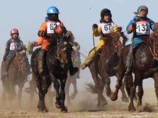 Өвөл, хаврын морины уралдаанд 18-с доош насны хүүхдийг оролцуулахгүй