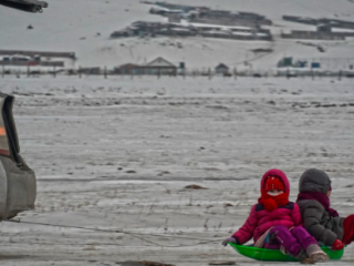 Сэрэмжлүүлэг: Автомашины араас чарга чирэхгүй байхыг анхааруулж байна