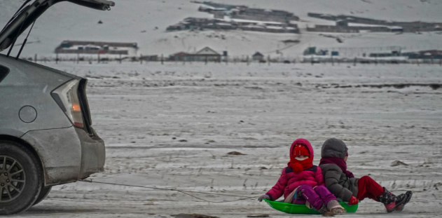 Сэрэмжлүүлэг: Автомашины араас чарга чирэхгүй байхыг анхааруулж байна