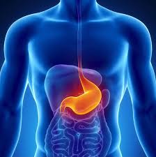 Нийслэлийн цэцэрлэг, сургуулийн сурагчдаас хеликобактерийн шинжилгээ авна