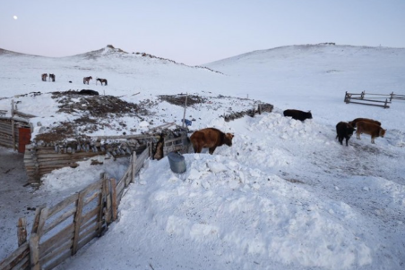 Есөн аймгийн 36 сум цагаан зудтай, 16 аймгийн 54 сум цагаанаар зудархуу байна