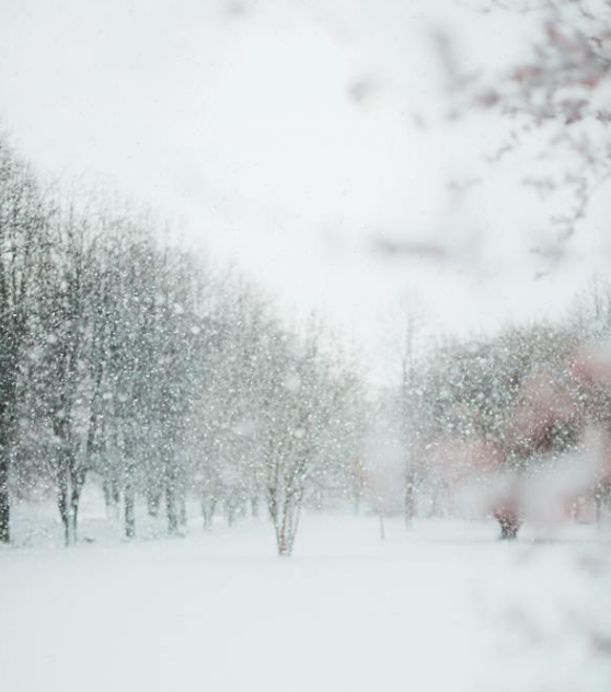 Төвийн аймгуудын нутгийн хойд хэсгээр цас орж, явган шуурга шуурна