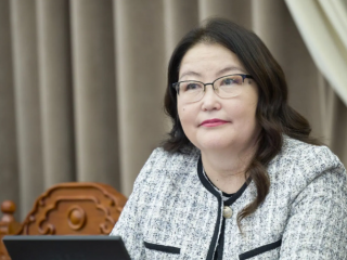 М.Энхцэцэг: Айл өрхүүд нарны панель суурилуулж орлого олдог болно