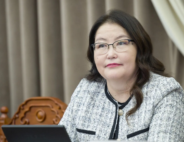 М.Энхцэцэг: Айл өрхүүд нарны панель суурилуулж орлого олдог болно