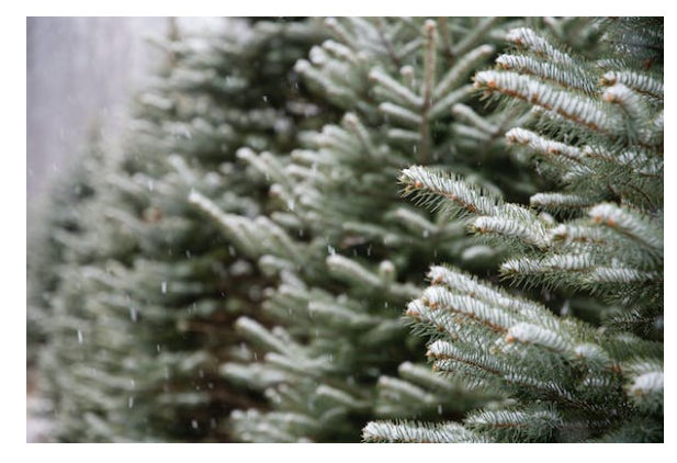 Улаанбаатарт цас орохгүй өдөртөө 24-26 хэм хүйтэн байна