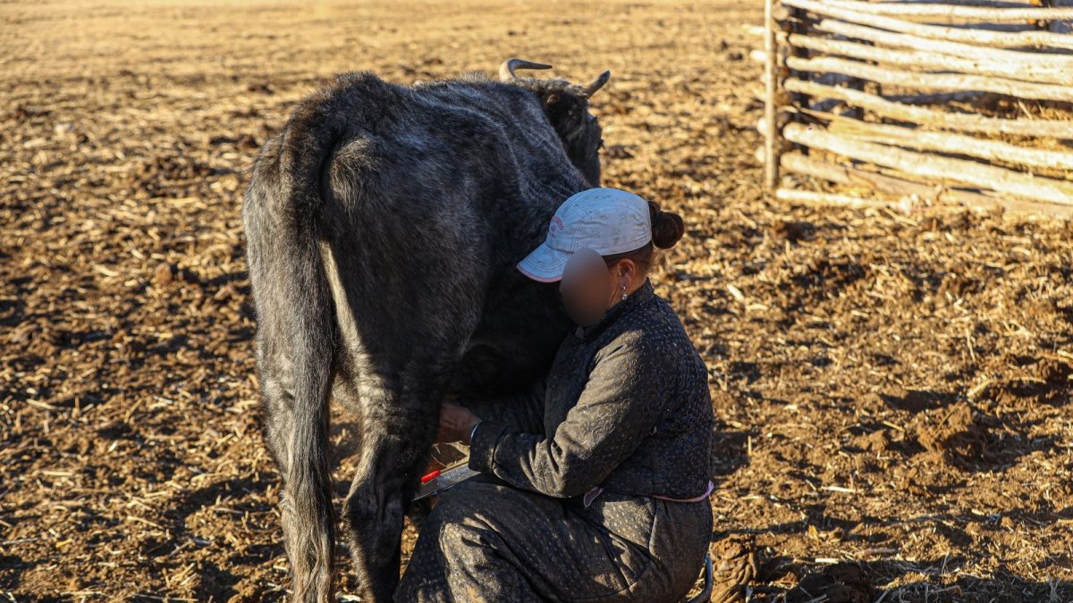 Х.Нямбаатар: Нийслэл хот орчмын сүүний фермерүүдэд үнээ худалдаж авах нэн хөнгөлөлттэй зээл олгоно