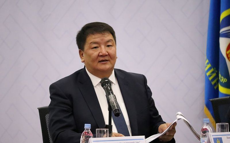 Авлига цэцэглэсэн гаалийг эрх зүйч, улс төрийн ажилтан П.Дэлгэрнаран цэгцэлж чадах уу?