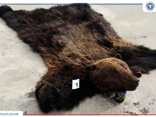 Ховор, нэн ховор амьтан хууль бусаар агнасан долоон, ховор ургамал бэлтгэсэн нэг гэмт хэргийг илрүүлжээ