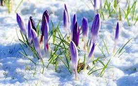 Улаанбаатарт өдөртөө 16 хэм хүйтэн байна