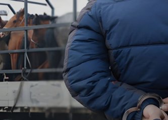 А.Итгэлт: Ченжүүд гарал үүслийн бичиг шалгаж үзэхгүй байгаа нь малын хулгайн гэмт хэргийг өөгшүүлж байна