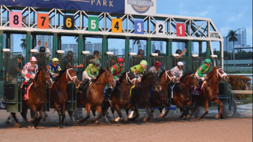 &ldquo;АРА Комплекс&rdquo;-т анх удаагаа морин тойруулгын уралдаан болно