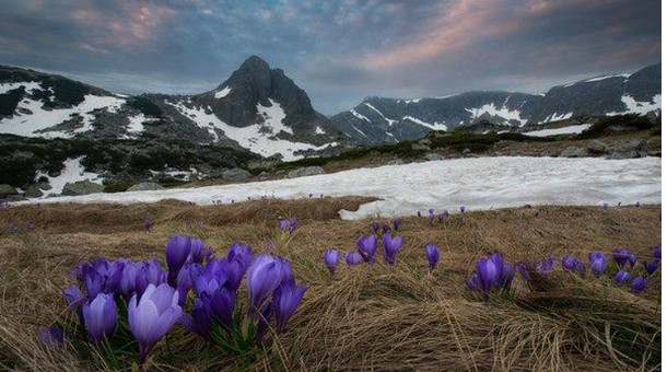 IV, V, VI сарын цаг агаарын төлөвтэй танилц