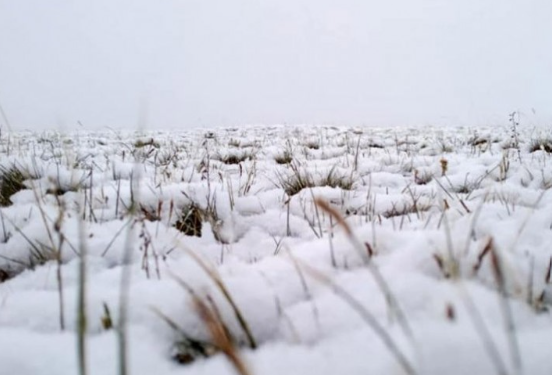 Говийн бүс нутгийн өмнөд хэсгээр нойтон цас орж, явган шуурга шуурна