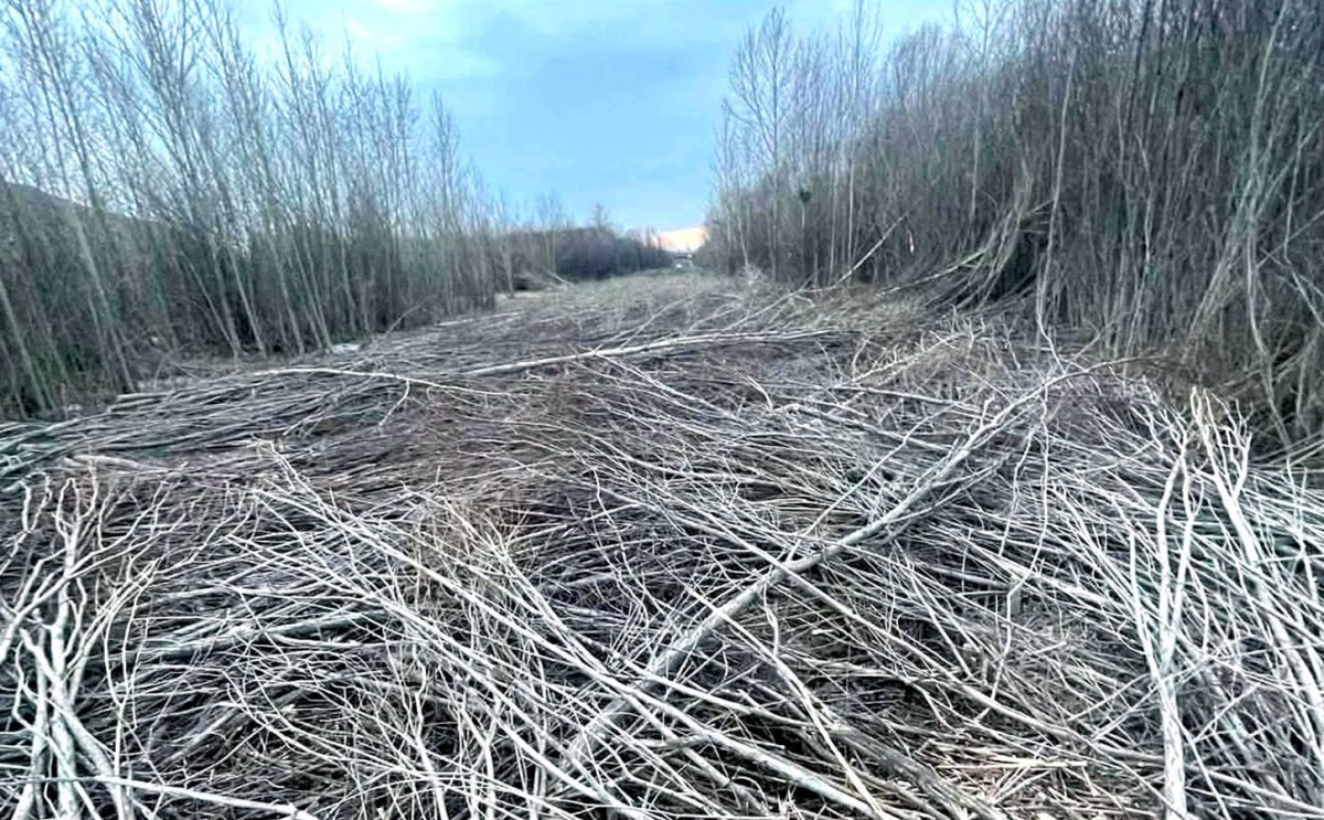 Туул гол уу, Туулын хурдны зам уу?