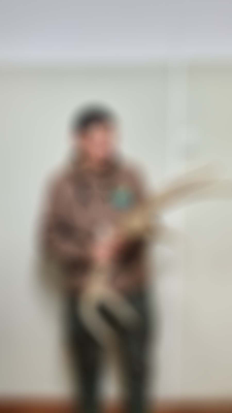 Нэн ховор амьтан болох "Шивэр хандгай"-г агнасан иргэний үйлдэлд шүүхээс 2 жилийн хорих ял оногдууллаа