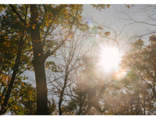 Дөрөвдүгээр сарын цаг агаарын урьдчилсан төлөвтэй танилц