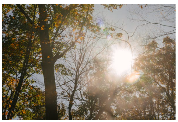 Дөрөвдүгээр сарын цаг агаарын урьдчилсан төлөвтэй танилц