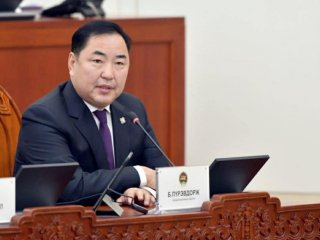 Б.Пүрэвдорж: Парламентын даргаар туршлагатай, тогтвортой байх хүнийг сонгоорой
