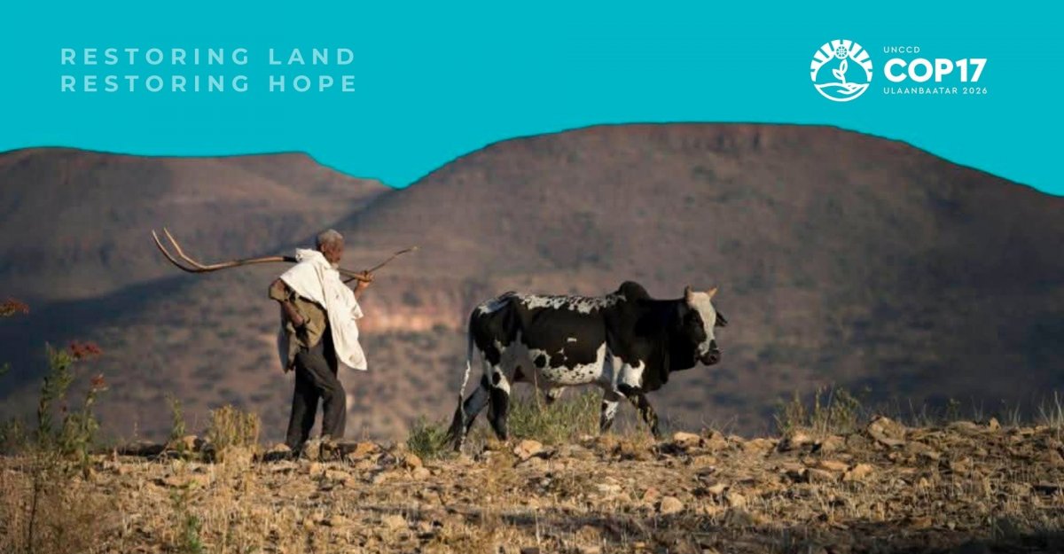 Тэсвэрлэх чадвар, тэнцвэрт байдал, хөгжил цэцэглэлтийн хөшүүрэг &ndash; Эрүүл газартай байхын төлөө Нэгдсэн Үндэстний Байгууллага чуулна