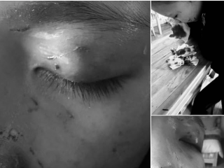 ЦЕГ: Архангай аймгийн Хайрхан сумын ЕБС-ийн 9, 11 ангийн сурагчид үл ойлголцсноос болж хоорондоо маргалдаж, нэгнийхээ биед гэмтэл учруулжээ