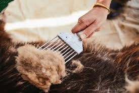 ҮНЭ ХАНШ: Ноолуур 165-207 мянган төгрөгийн үнэтэй байна