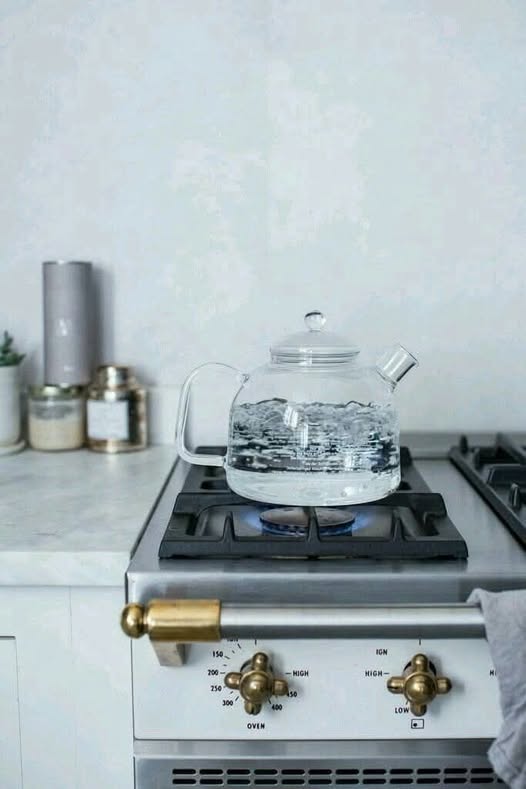 Д.Амарзаяа: Уламжлалт анагаах ухаанд өвчин бүхнийг эдгээх эм тангийн эхлэл нь ширгээсэн ус гэж үздэг