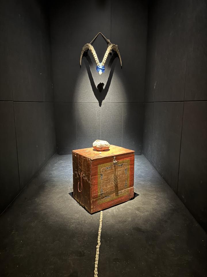 "FIFTY" уран бүтээлийн бие даасан үзэсгэлэн үргэлжилж байна