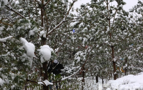 Улаанбаатарт өдөртөө ялимгүй хур тунадас орно