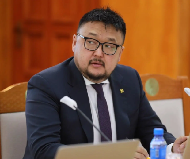 Шүлхийний вакцин ч шийдэж чаддаггүй З.Мэндсайханыг Сангийн сайд болгохоор улсын эдийн засаг улам умаа хум болохгүй юу...