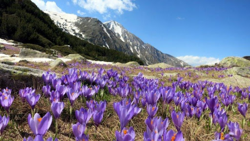 Ханш нээх өдөр: Байгаль дэлхий сэргэж, газар гэсч, амьдралын шинэ мөчлөг эхэлнэ