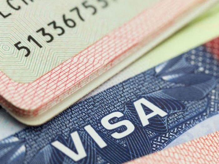 &ldquo;Виз гаргаж өгнө&rdquo; хэмээн 491 хүнийг хохироосон этгээдэд 10 жилийн хорих ял оноов