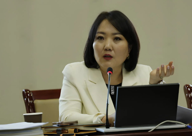 Д.Үүрийнтуяа: АМНАТ-ийг ялгаатай тогтоох юм бол компани, хөрөнгө оруулагч бүрд зориулсан хуультай болох хэрэгтэй