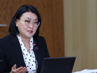 А.Ариунзаяа: Манайх өнөөдөр хууль орууллаа, маргааш хэлэлцлээ, нөгөөдөр баталлаа болчихоод байна