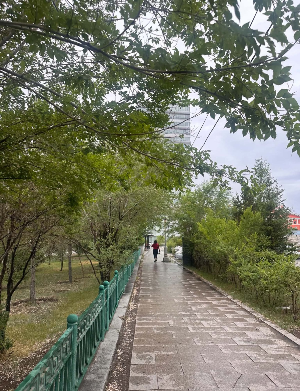 УЛААНБААТАР ХОТЫН 5 ХОНОГИЙН ЦАГ АГААРЫН МЭДЭЭ