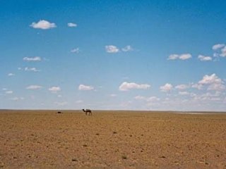 ТААНАГҮЙ ГОВЬ