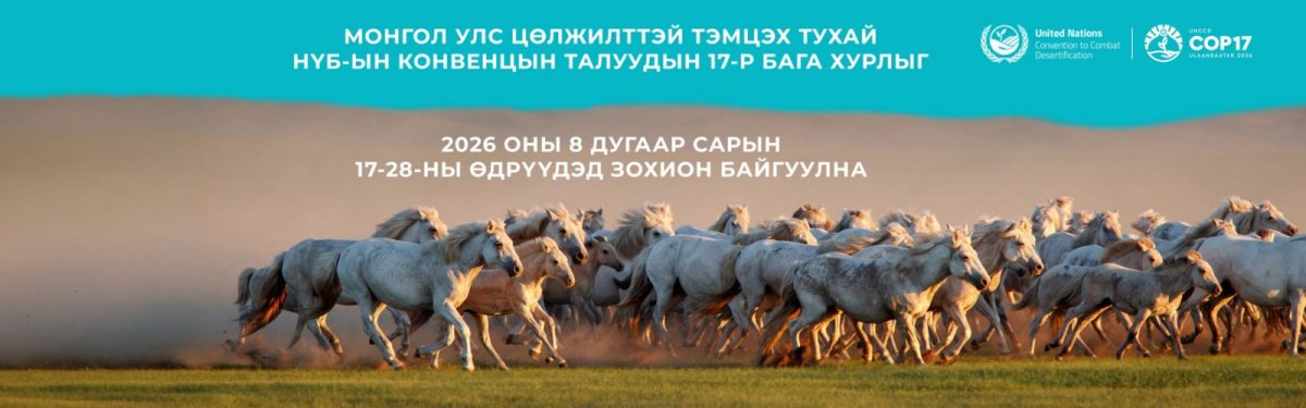 "COP17" гэж юу вэ?