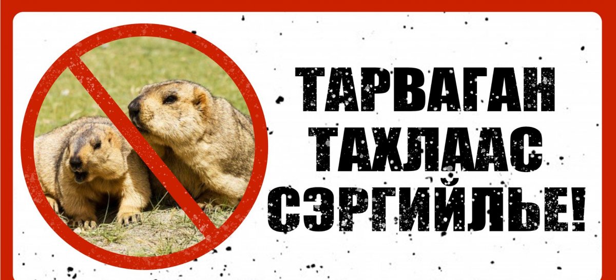 ЗӨСҮТ: Тарваган тахлын сэжигтэй тохиолдлын нэгдүгээр хавьтал болсон 12 хүнийг тусгаарлаж, эмчилгээ хийж байна