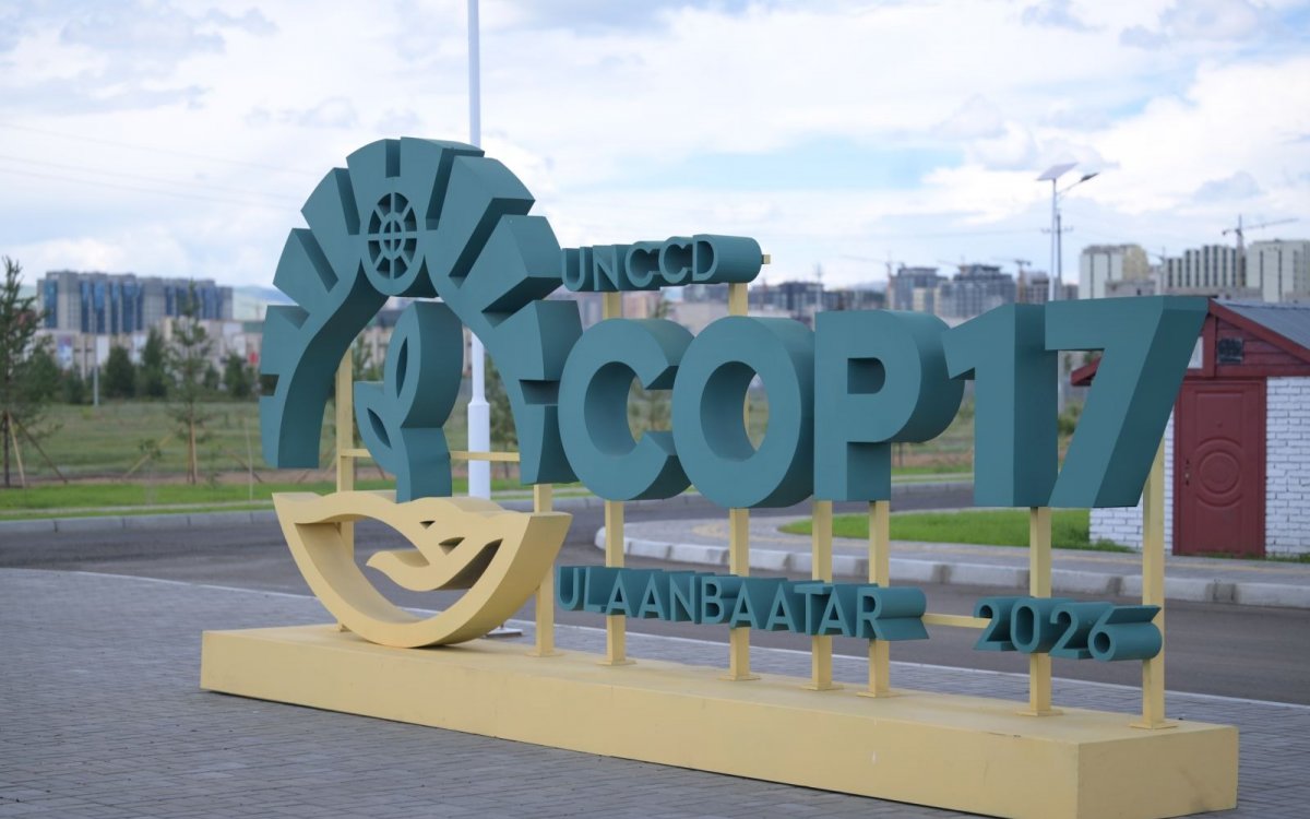 COP17 хурлын үеэр 5 дүүргийн 73 цэцэрлэг, 60 сургуульд зохицуулалт хийнэ