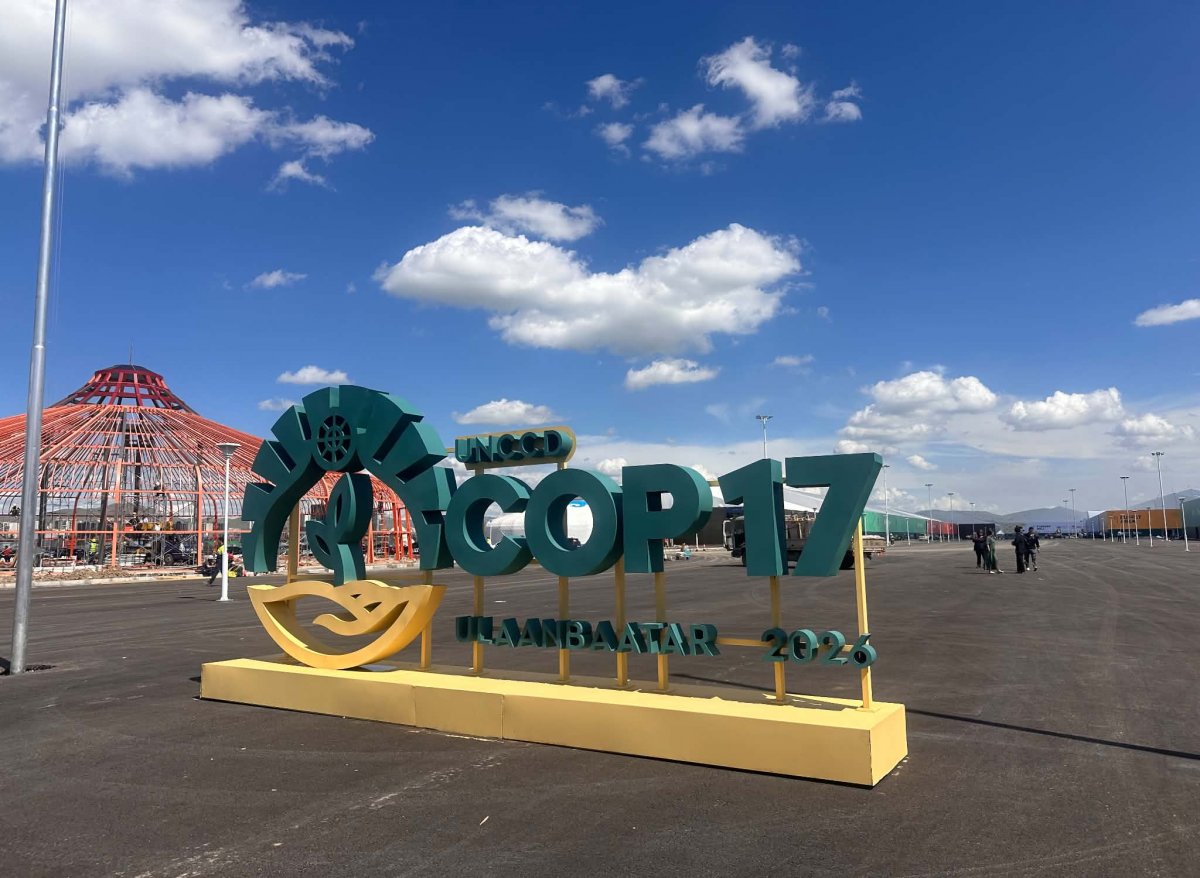 COP17: ДЭЛХИЙ МОНГОЛ РУУ ХАРАХ ӨДРҮҮД
