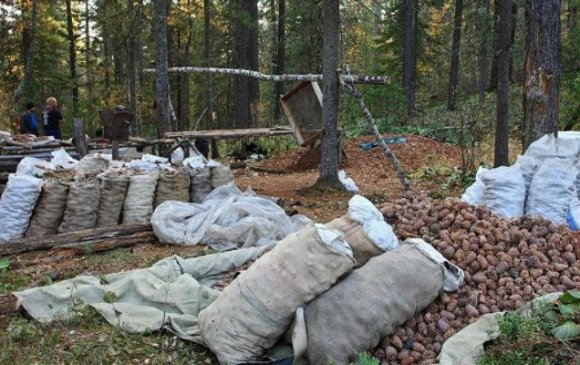 Самарт явсан хүмүүс нэгэн дээрээ бензин асгаж, шатаасан хэрэг гарчээ