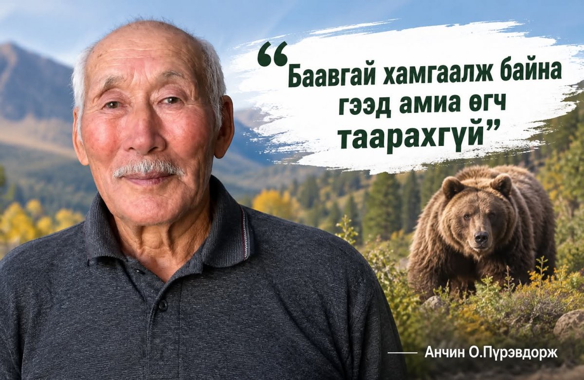 Анчин О.Пүрэвдорж: Баавгай хамгаалж байна гээд амиа өгч таарахгүй